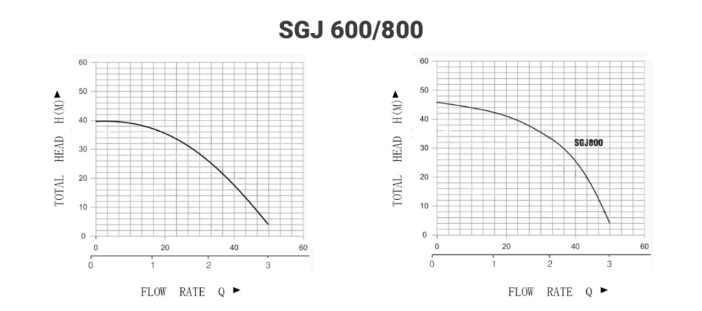 SGJ.jpg SGJ.jpg