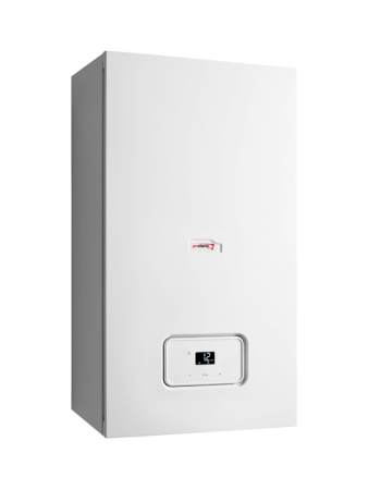 Газовый котел Protherm Рысь