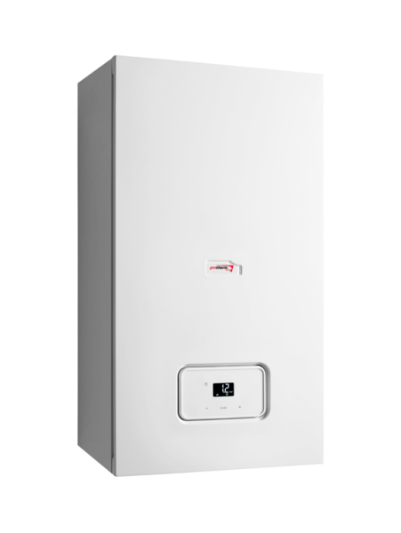 Газовый котел Protherm Рысь