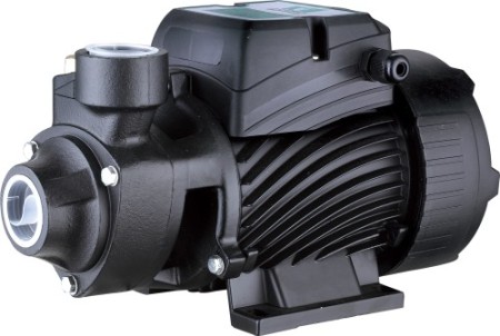 Вихревой насос QB50